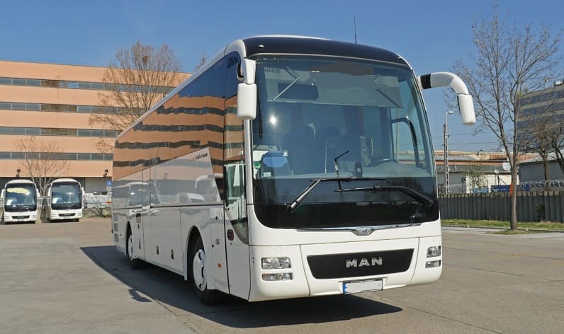 Hajdú-Bihar: Buses operator in Debrecen in Debrecen and Hungary