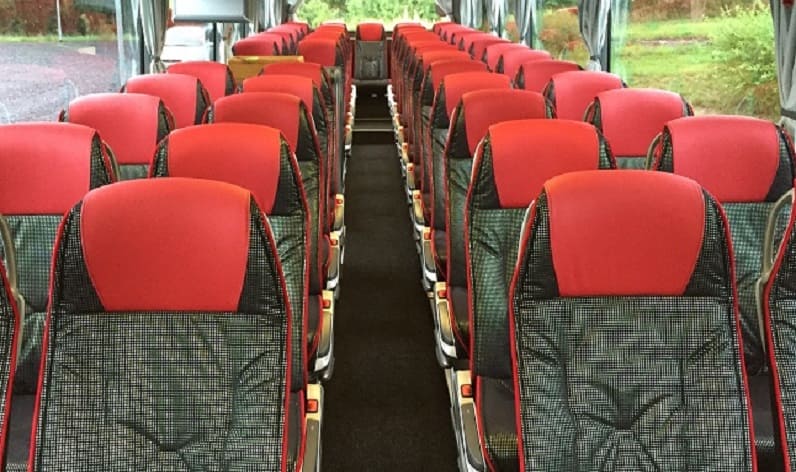 Hungary: Coaches rent in Pest in Pest and Nagykőrös